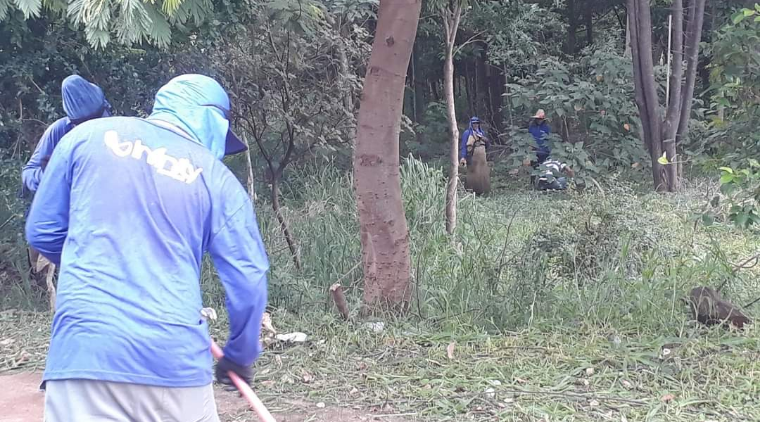 Equipe De Limpeza Urbana Inicia Roçagem Pelo Município