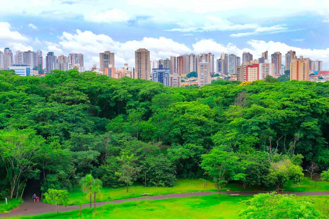 Meio Ambiente Amplia Ações Em Ribeirão Preto