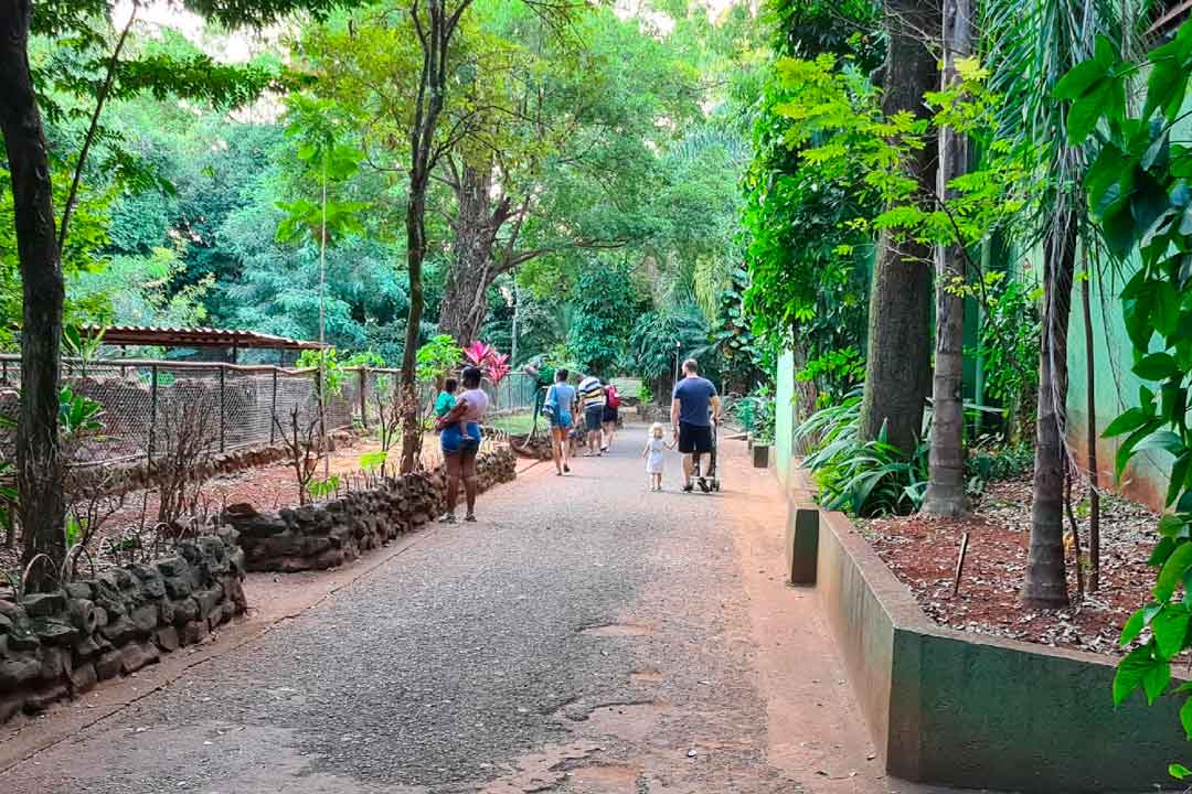 Após Quase Dois Meses, Bosque Reabre Ao Público Em Ribeirão Preto