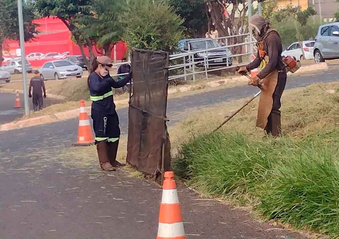 Via Norte Recebeu Roçada De Canteiros