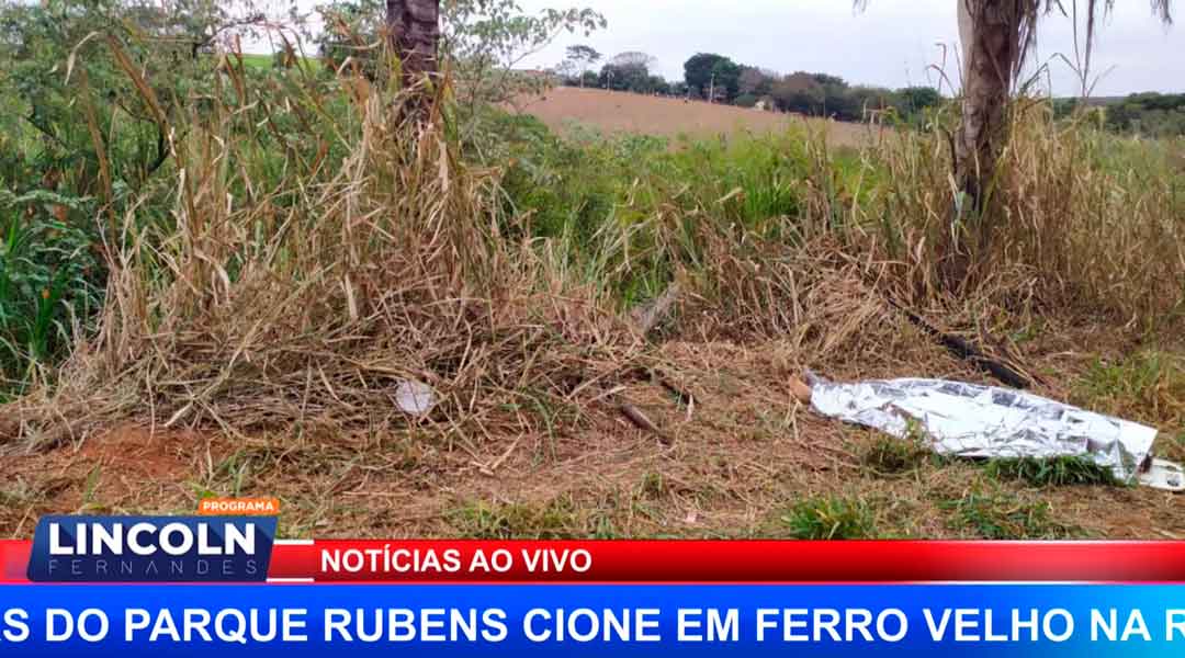 Acidente  Tira A Vida De Mais Uma Jovem Na Região De Ribeirão Preto