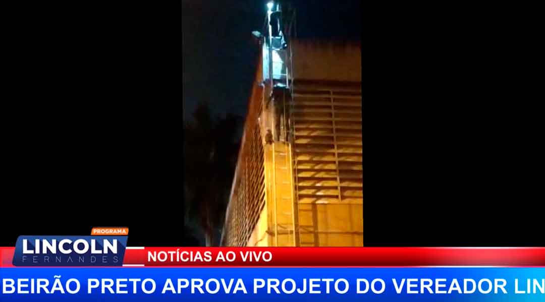 Bombeiros Resgatam Gatinho Que Estava Preso No Teto Da Cava Do Bosque