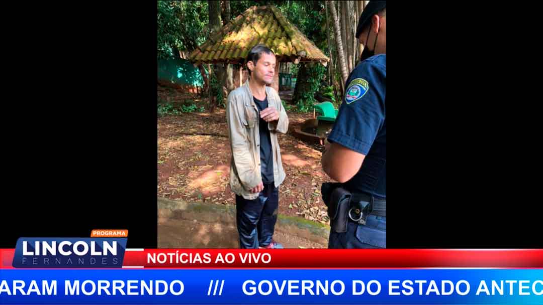 Homem De 30 Anos Invade Recinto Das Onças No Zoológico De Ribeirão Preto