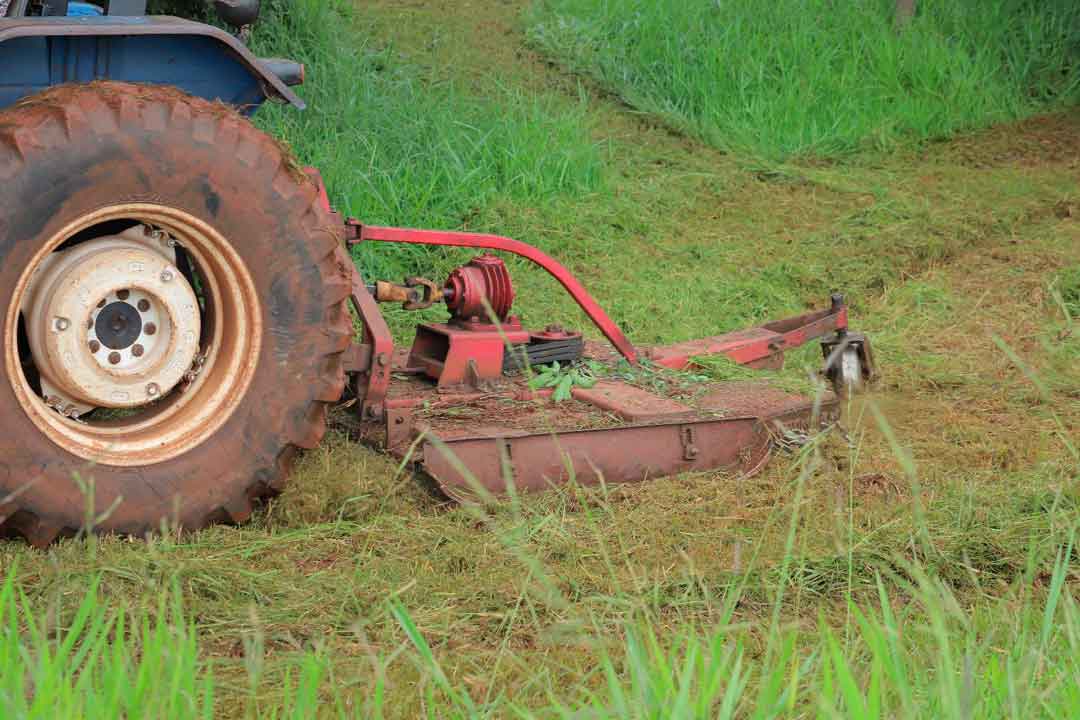 Limpeza Urbana Promove Ações De Zeladoria Em Ribeirão Preto