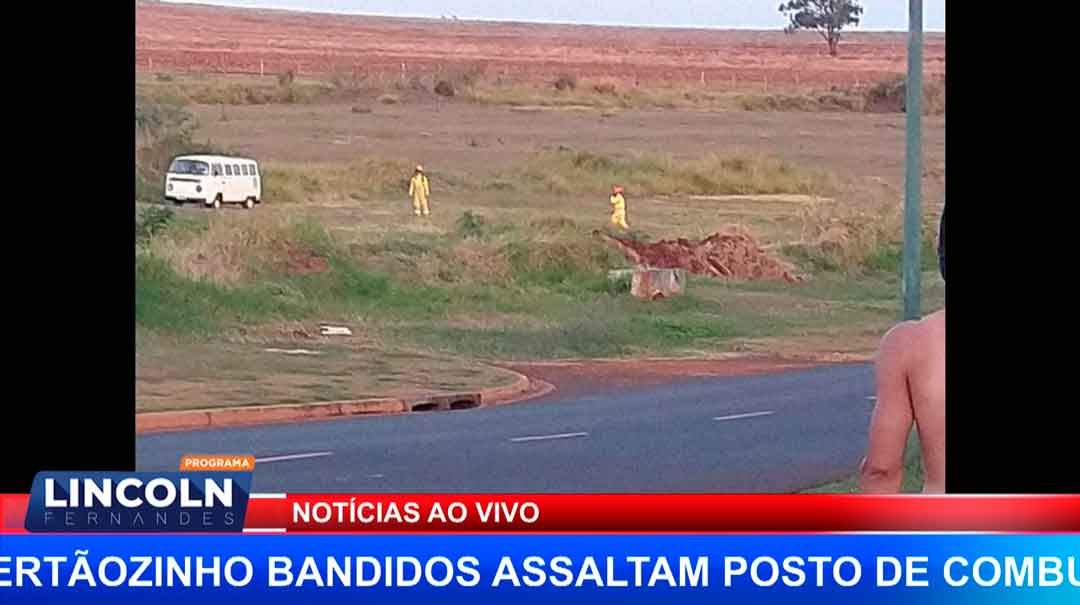 Enxame De Abelhas Assusta Quem Estava Se Exercitando No Pq. Olhos D&#8217;Água