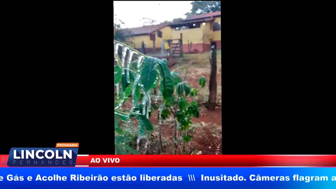 Fazenda Diamante Na Região De Orlândia Também Sofreu O Efeito Do Frio