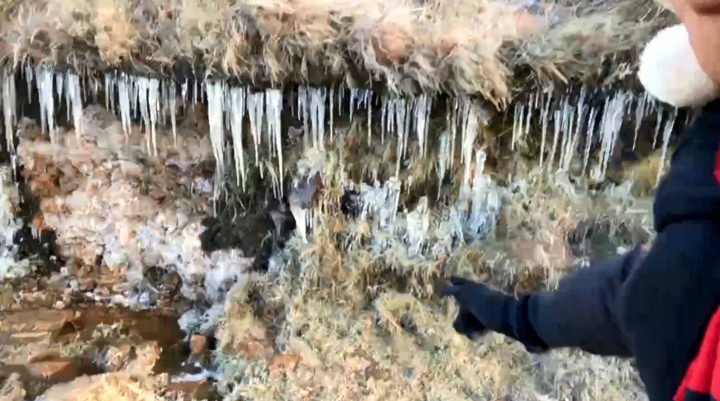 Frio Do Século Congela Água E Vegetação Em Urupema Sc, Lincoln Fernandes Mostra Ao Vivo