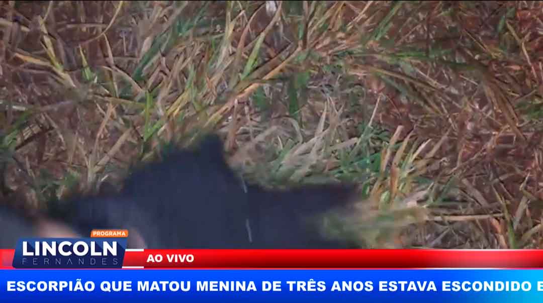 Geou Em Ribeirão Preto Nesta Madrugada