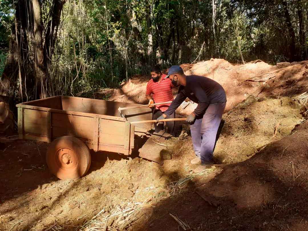 Projeto De Compostagem Do Bosque Zoo Fábio Barreto Amplia Atuação
