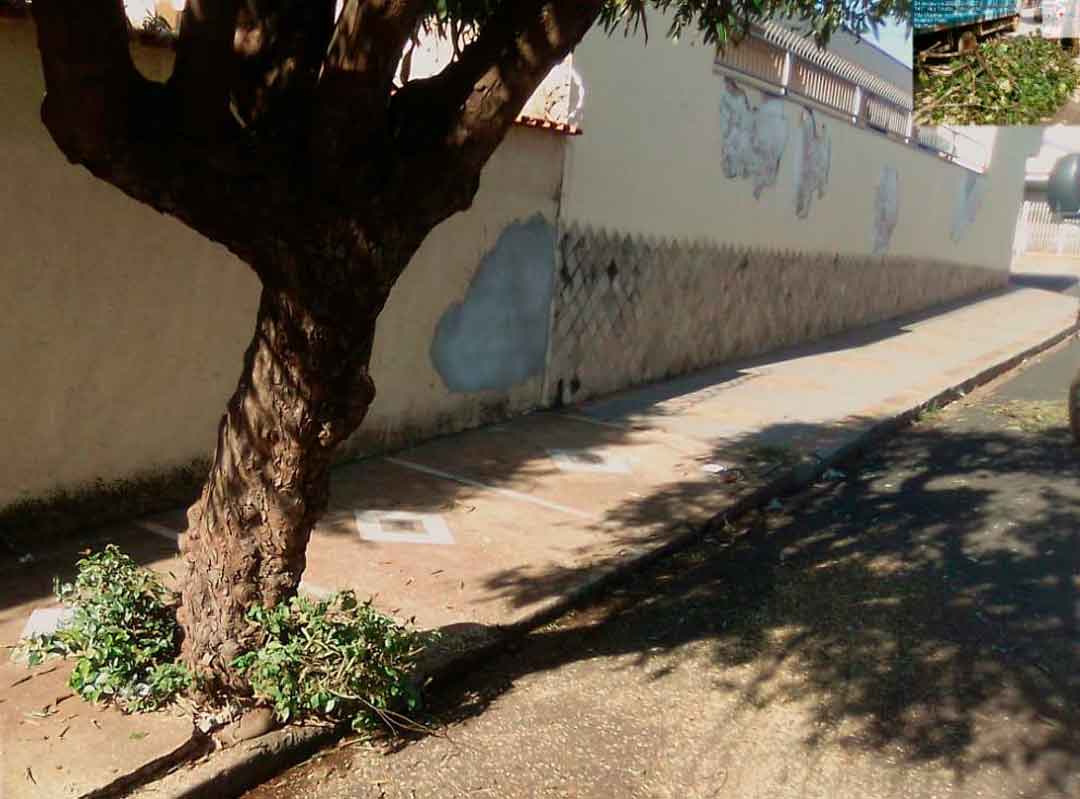 Zeladoria Urbana Avança Pelos Bairros De Ribeirão Preto