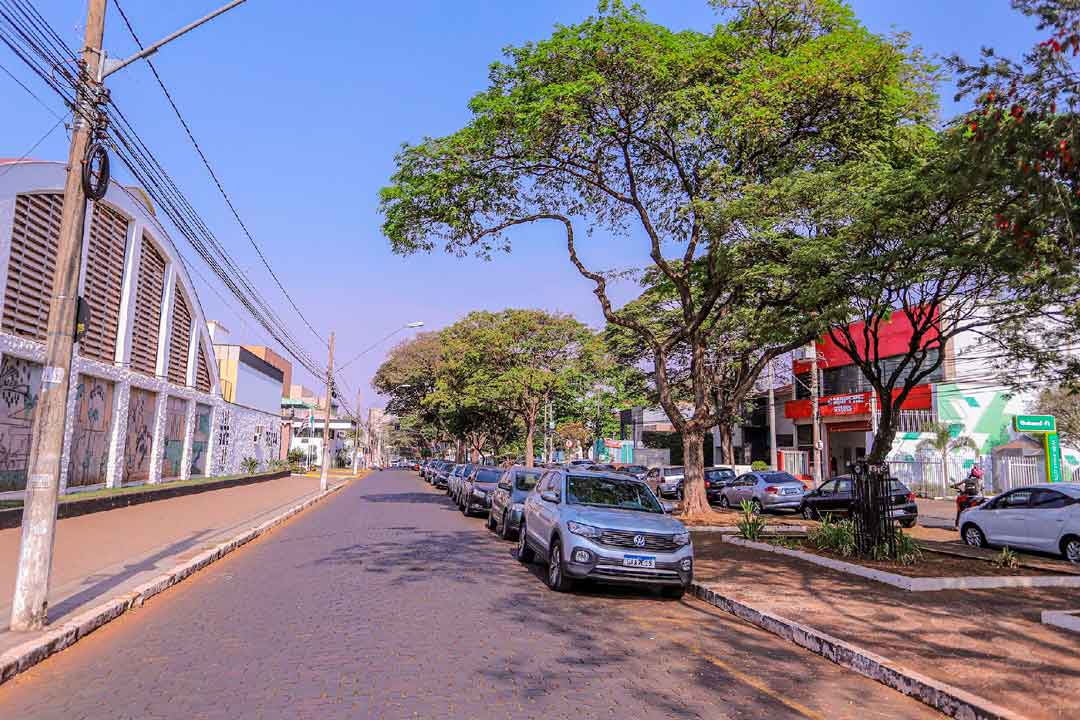 Avenida Nove De Julho Será Restaurada