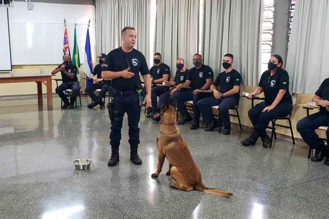 Gcm Realiza I Curso De Condutores De Cães