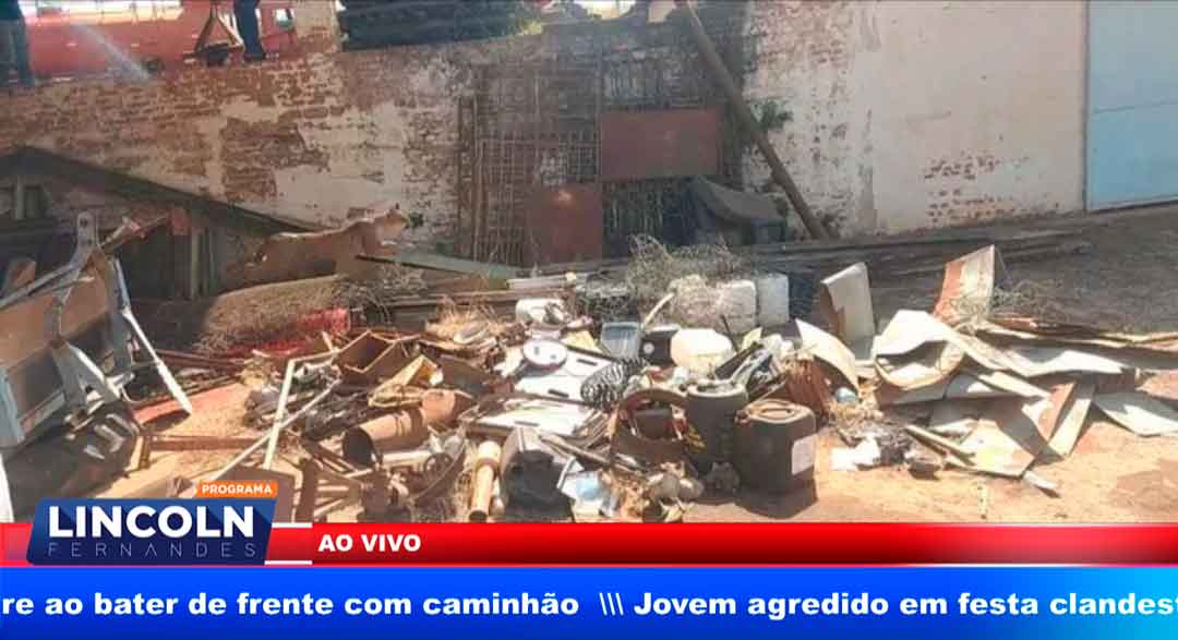 Onça Parda Foi Capturada Em Jaboticabal