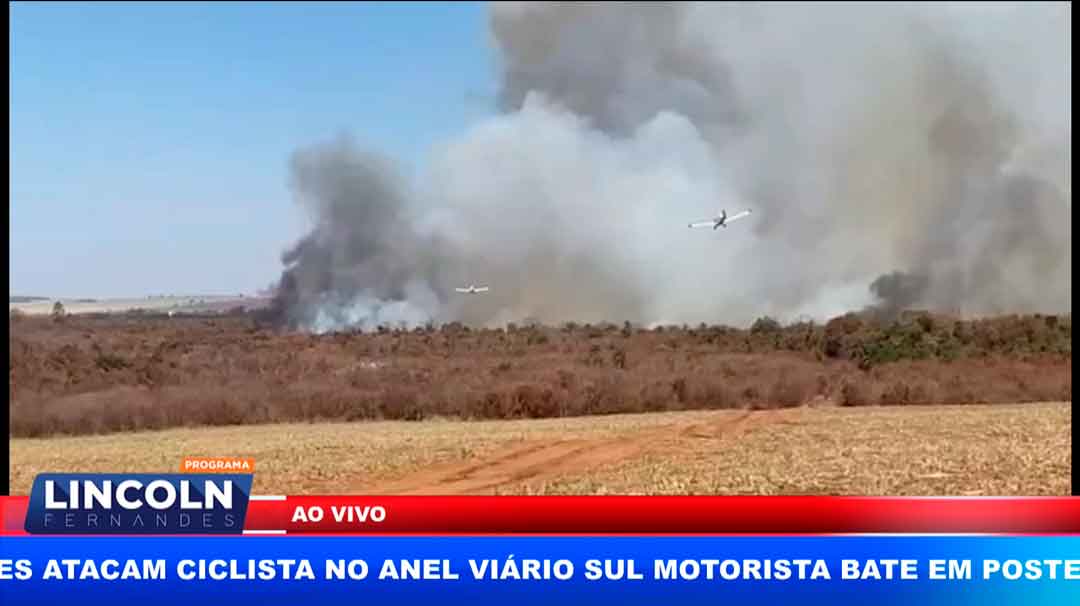 Prefeitura De Luís  Antônio Afirma Que Incêndio Na Maior Reserva Do Estado Foi Controlado