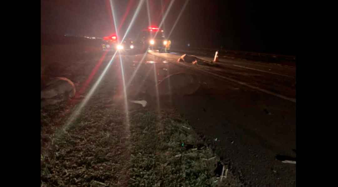 Quatro Cavalos Foram Atropelados Na Rodovia Abraão Assed