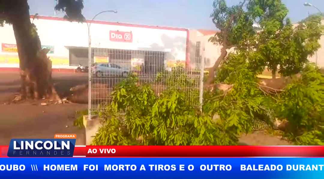 Árvore Gigante Cai Em Frente A Um Supermercado No Jd  Monte Alegre Em Ribeirão Preto