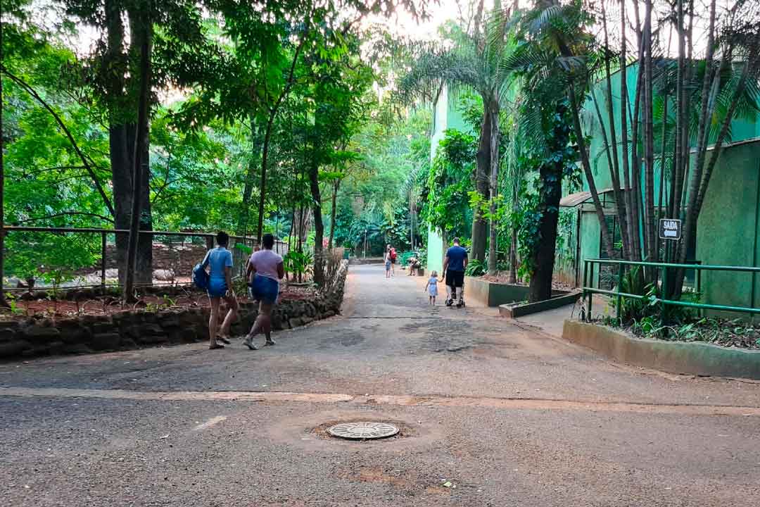 Bosque Municipal Reabre Ao Público Aos Fins De Semana E Feriados