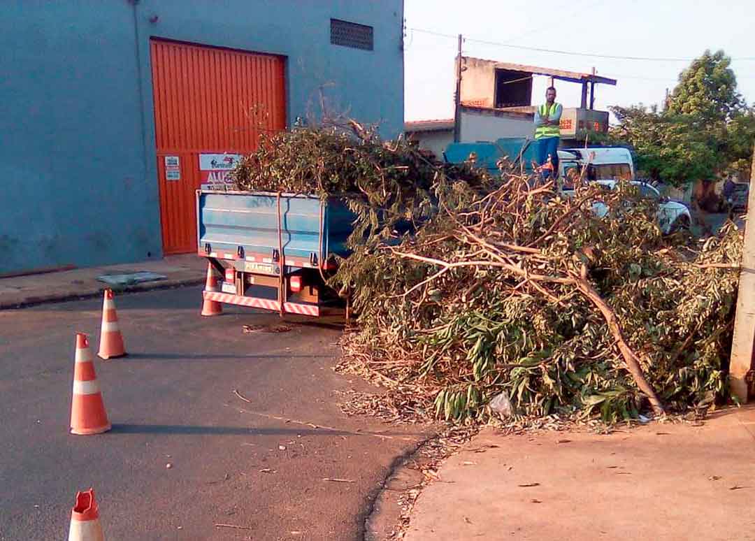 Limpeza Urbana Promove Coleta De Galhos Na Região Norte