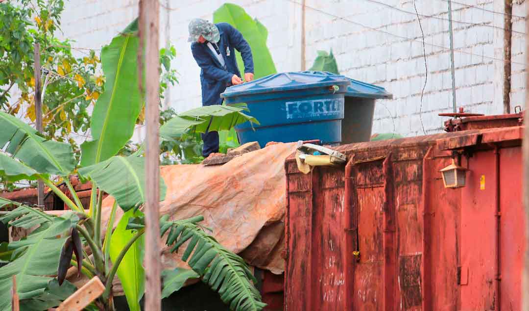 Ribeirão Preto Mantém Queda Com Seis Casos De Dengue Em Agosto