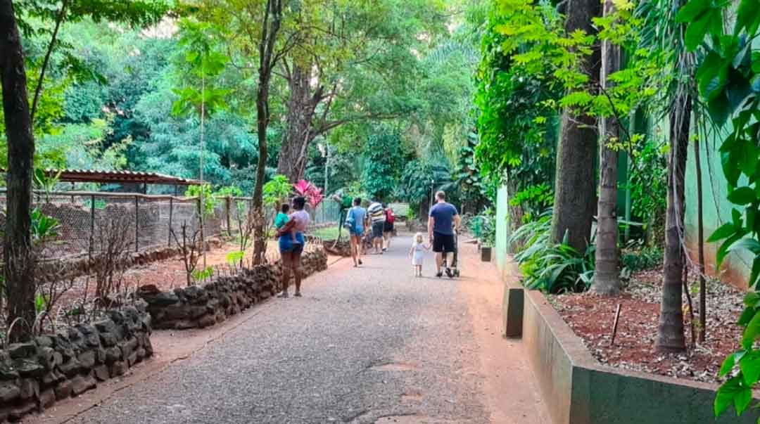 Bosque Fábio Barreto Volta A Funcionar Aos Finais De Semana