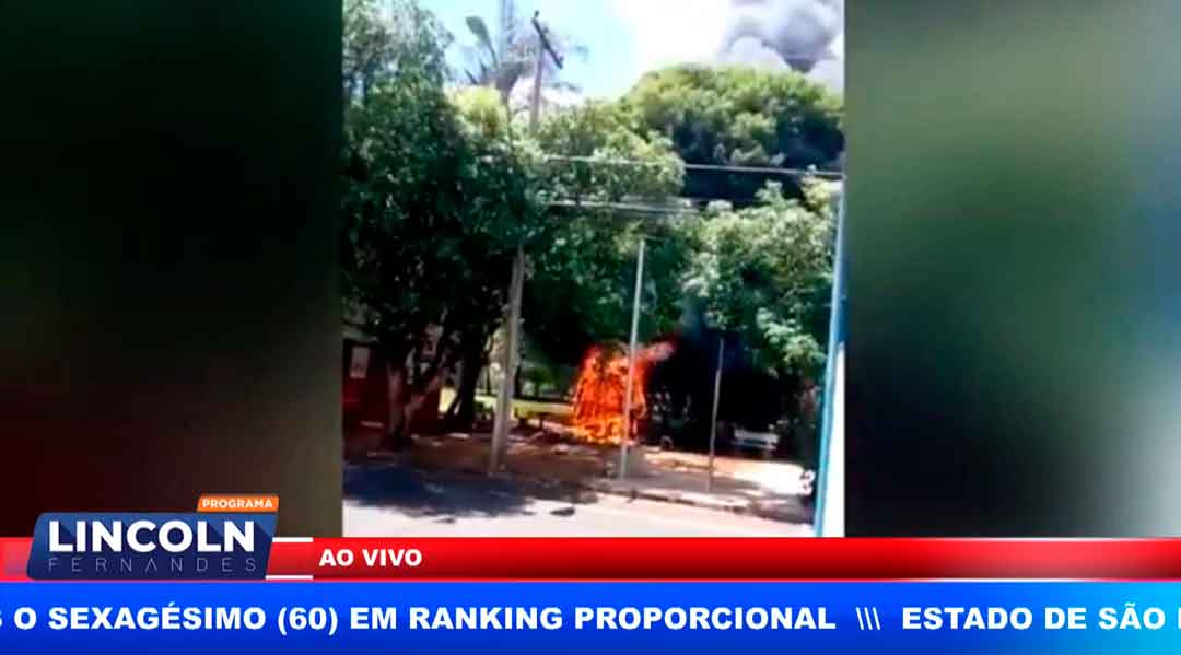 Incêndio Perto De Árvores Assusta Populares Em Ribeirão Preto