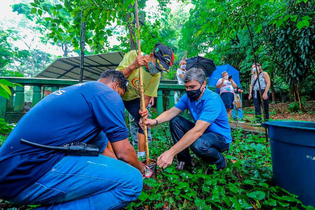 Bosque Municipal Recebe Idosos Do Lar Padre Euclides