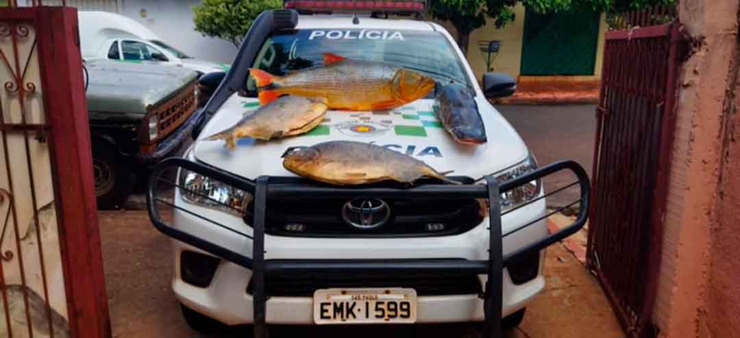 Polícia Ambiental Faz Doação De Peixes Para Entidades