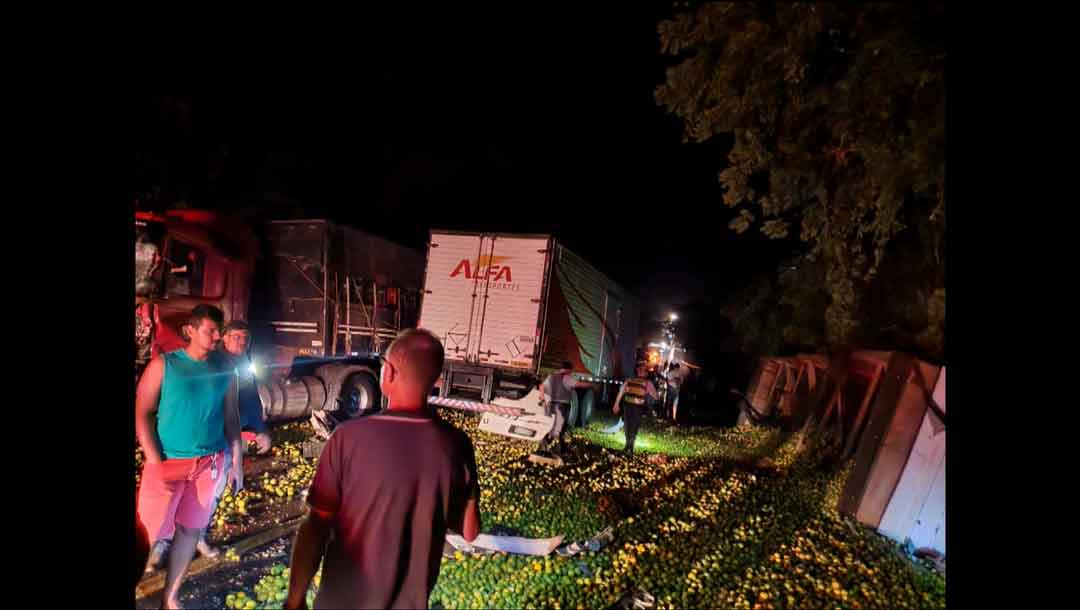 Queda De Árvore Em Rodovia Provoca Acidente Com Três Carretas