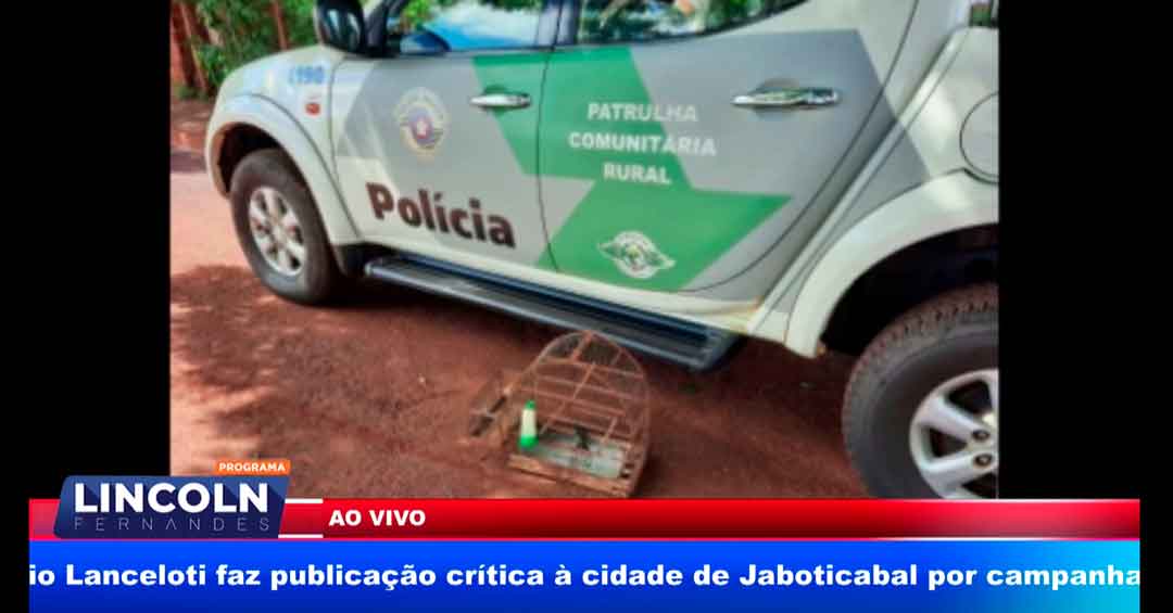 Polícia Ambiental Realiza Operação Na Região De Ribeirão Preto