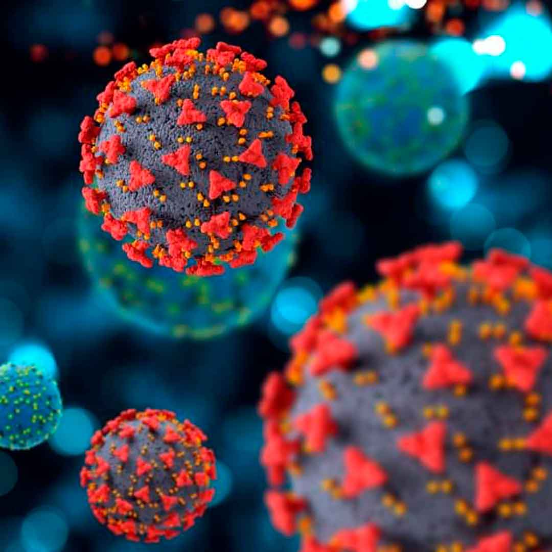Sertãozinho Confirma O Primeiro Caso Do Vírus Influenza H3N2