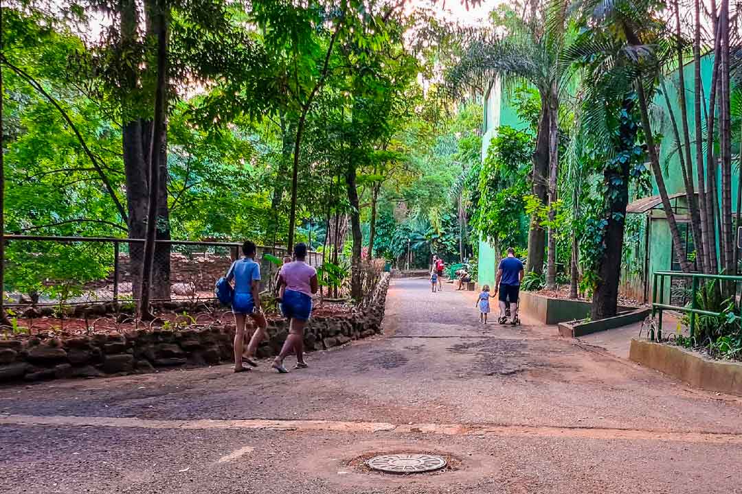 Bosque Zoológico Fábio Barreto Recebeu 95 Mil Visitantes Em 2021