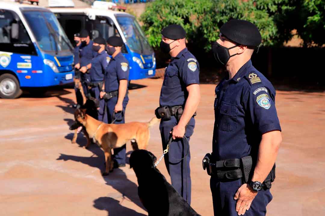 Canil Da Gcm Completa Cinco Anos De Atuação Em Ribeirão Preto