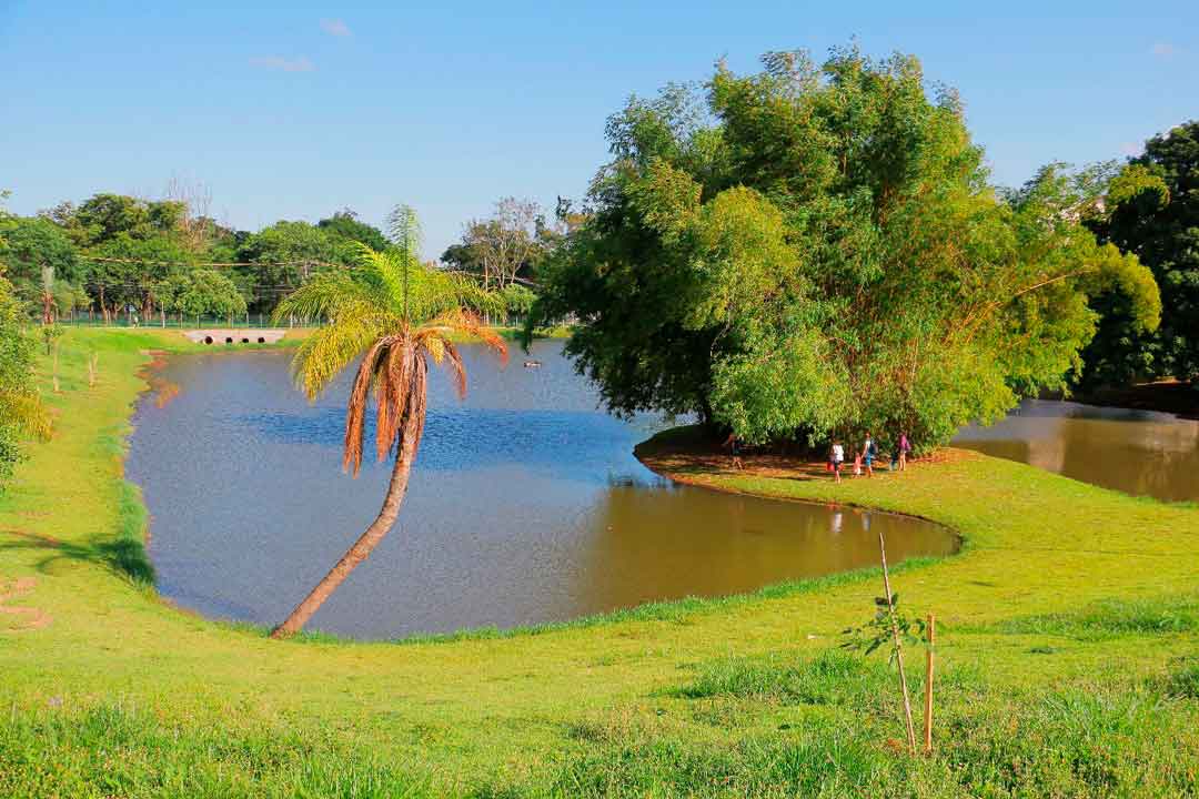 Meio Ambiente Tem Balanço Positivo Em 2021