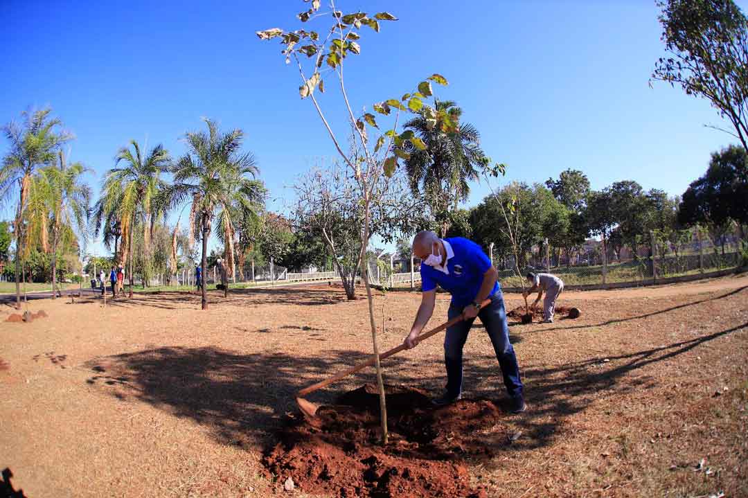 Secretaria Do Meio Ambiente Elabora Plano De Mudanças Climáticas