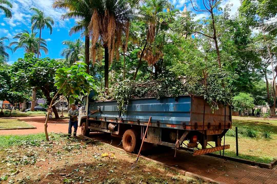 Zeladoria Urbana Leva Serviços Aos Bairros De Ribeirão Preto