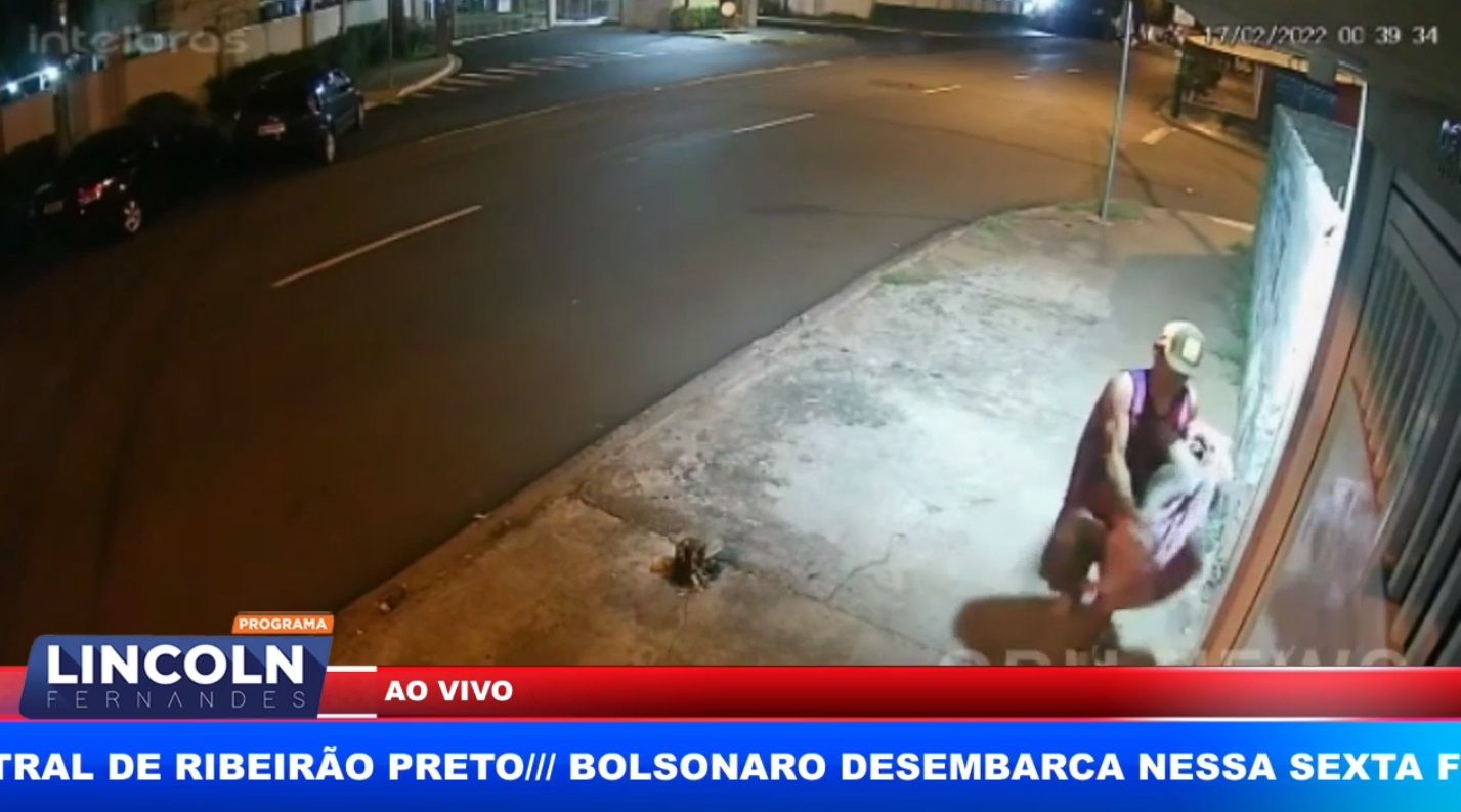 Ladrões Furtam Gansa Na Zona Norte De Ribeirão Preto