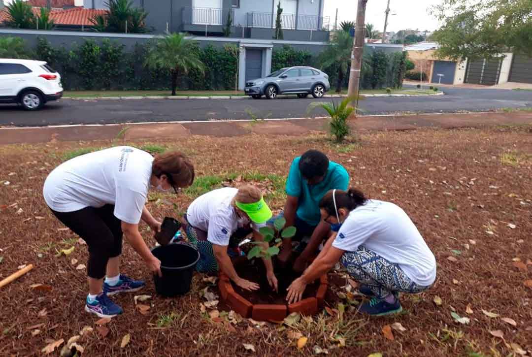 Smma Orienta Voluntários Para Plantio De Mudas Em Áreas Púbicas