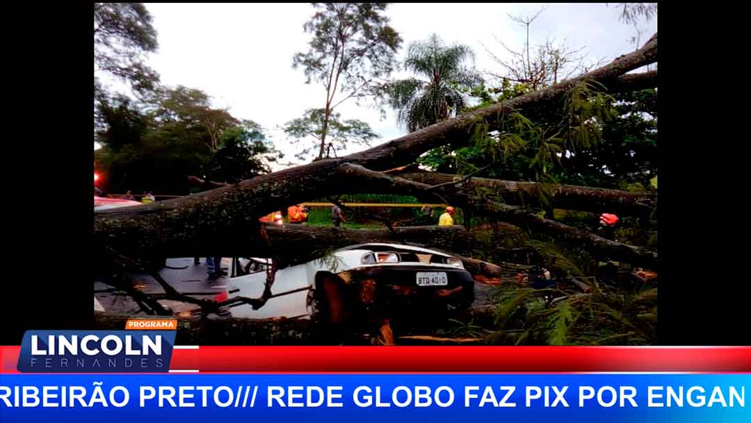 Uma Árvore Caiu Sobre Um Carro, Na Zona Leste De Ribeirão Preto, No Último Sábado