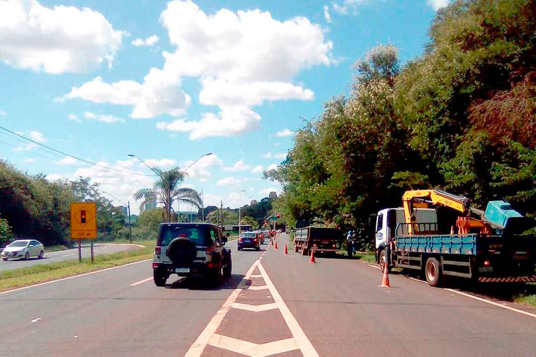 Praças E Avenidas Recebem Poda Arbórea Em Ribeirão Preto