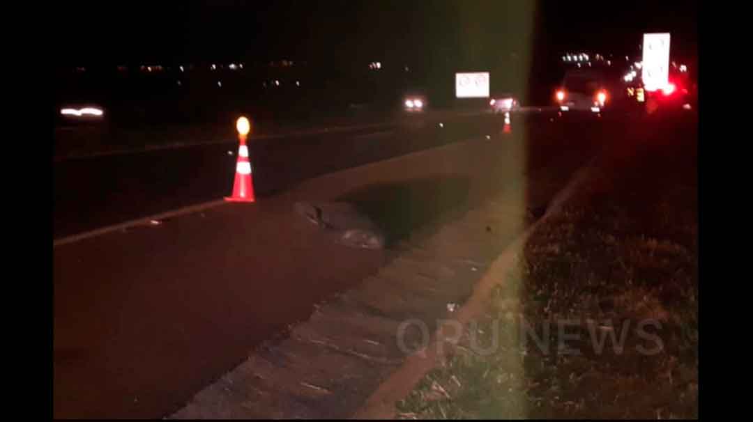 Homem Morre Após Ser Atropelado Em Rodovia