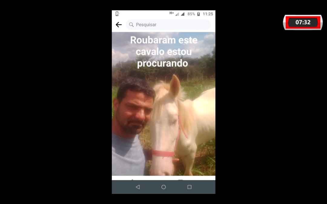 Cavalo É Furtado Há Um Mês E Dono Faz Apelo