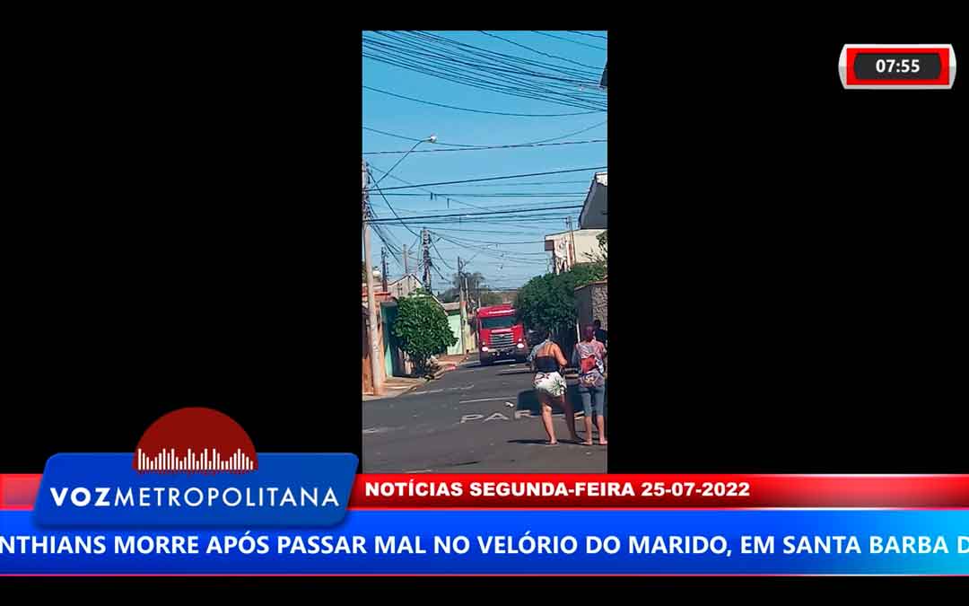 Enxame De Abelhas Leva Pavor Em Rua Do Bairro Vila Albertina