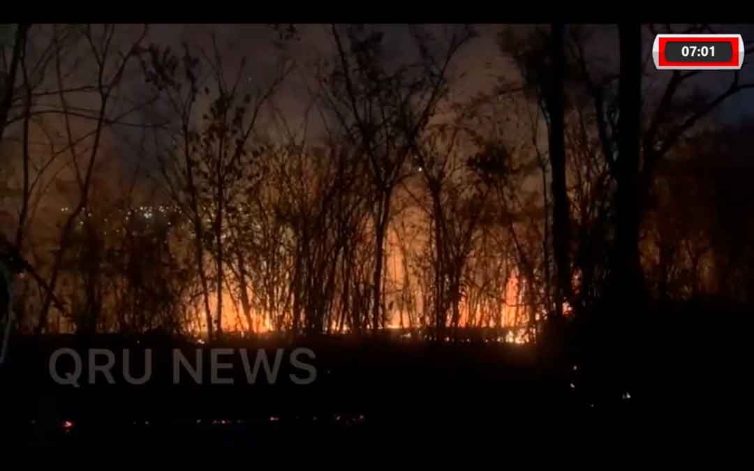 Incêndio Atinge Parque Da Pedreira No Jardim Santa Luzia