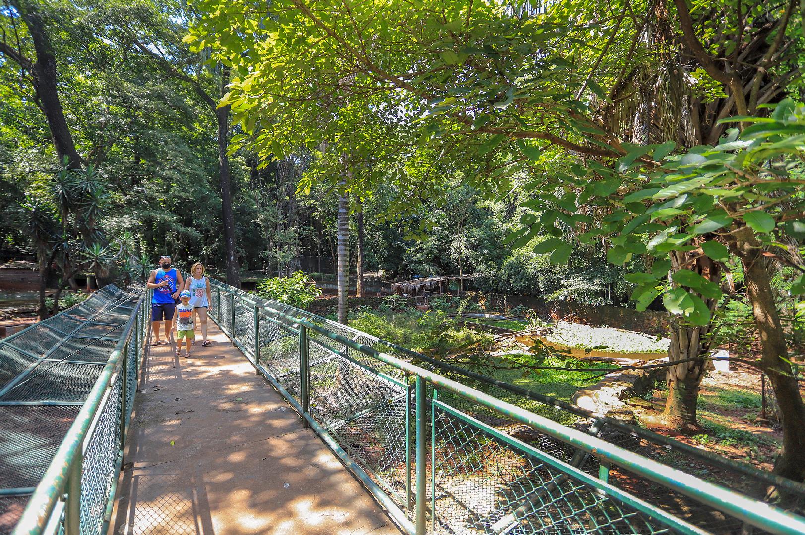 Bosque Ficará Fechado Para Manutenção Nesta Quarta-Feira, 3 De Agosto