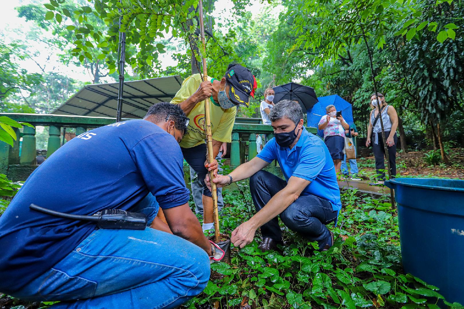 Prefeitura Municipal Promove Plantio Voluntário De Árvores