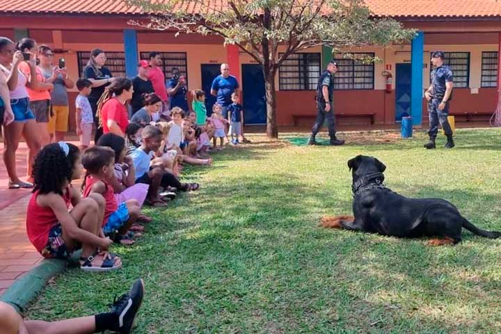 Com Seis Anos De Existência, Canil É Referência Na Busca Por Drogas