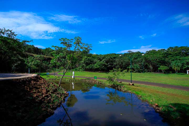 Meio Ambiente Termina 2022 Com Balanço Positivo