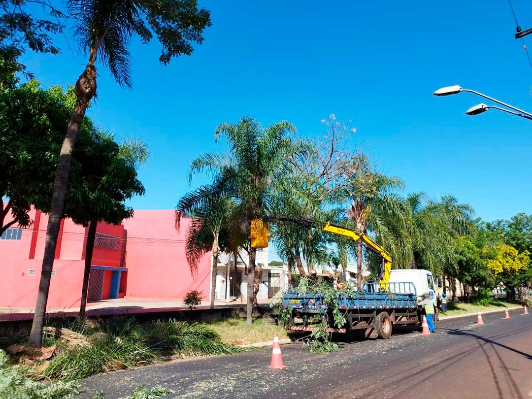 Prefeitura Realiza Diariamente Serviços De Manutenção E Zeladoria Em Toda Cidade