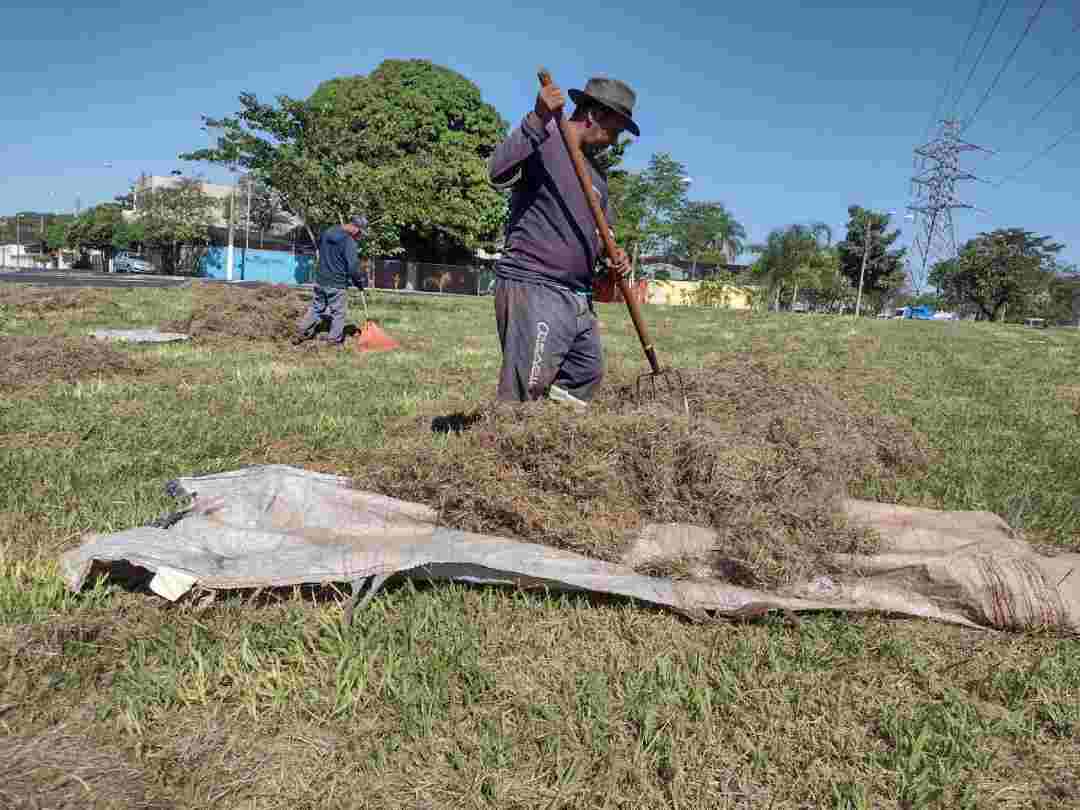 Prefeitura Realiza Controle De Pragas De Canteiro De Avenidas