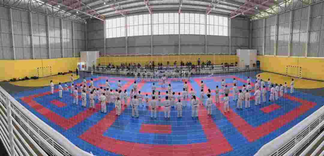 Ribeirão Vai Receber Treinamento Da Seleção Paulista De Karate Neste Sábado